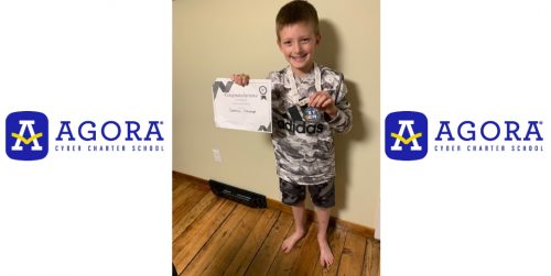 Stem Fair Winner